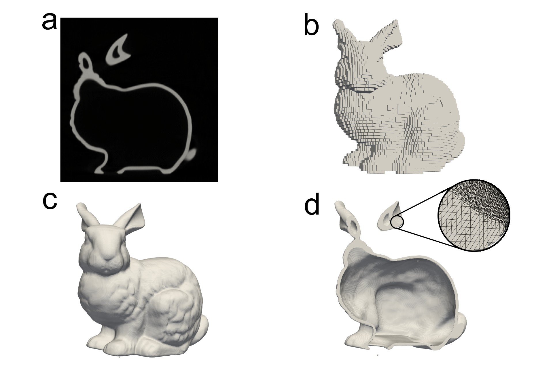 CT volumeから生成されたvoxel、surface、tetrahedral mesh